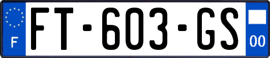 FT-603-GS