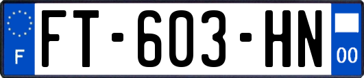 FT-603-HN