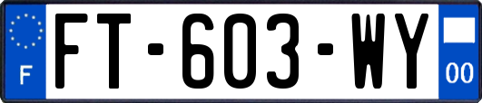 FT-603-WY