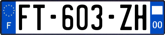 FT-603-ZH