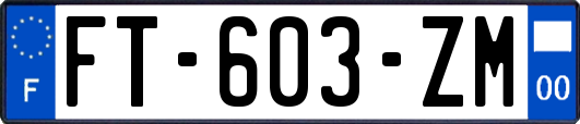 FT-603-ZM