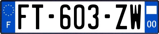 FT-603-ZW