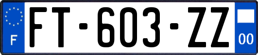 FT-603-ZZ