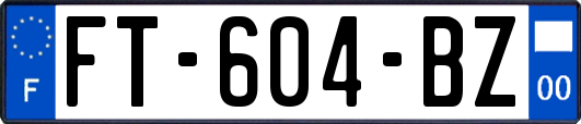 FT-604-BZ