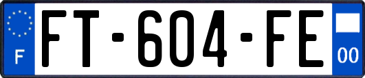 FT-604-FE