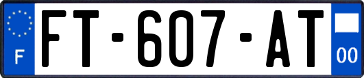 FT-607-AT