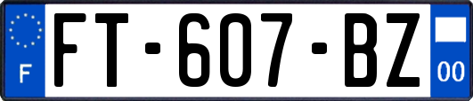 FT-607-BZ