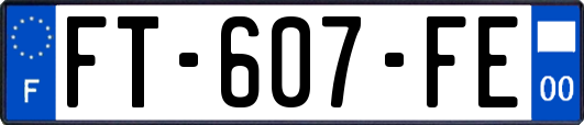FT-607-FE