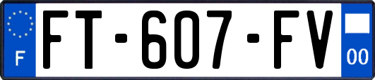 FT-607-FV