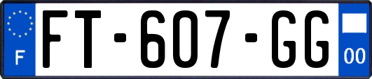 FT-607-GG