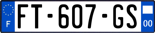 FT-607-GS