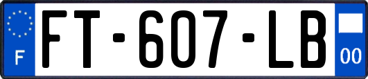 FT-607-LB