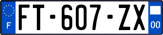 FT-607-ZX