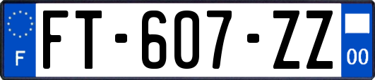 FT-607-ZZ