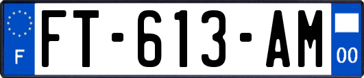 FT-613-AM