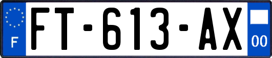 FT-613-AX