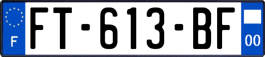 FT-613-BF