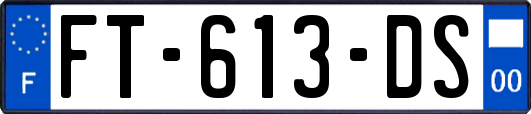 FT-613-DS