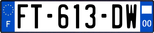 FT-613-DW