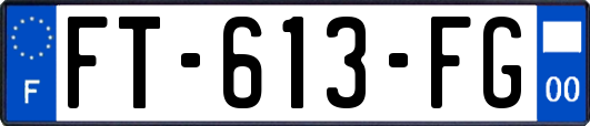 FT-613-FG