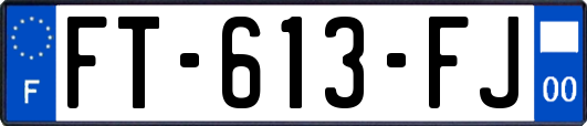 FT-613-FJ