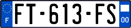 FT-613-FS