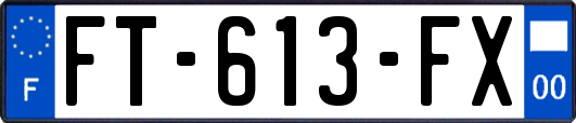FT-613-FX