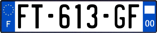 FT-613-GF