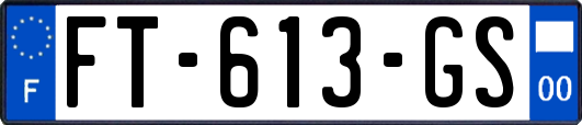 FT-613-GS