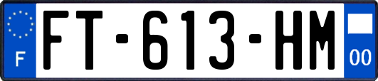 FT-613-HM