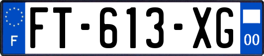 FT-613-XG
