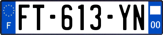 FT-613-YN
