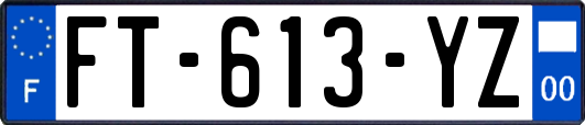 FT-613-YZ