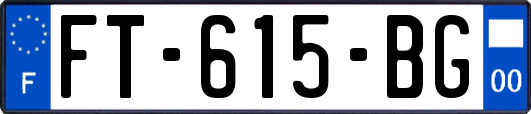 FT-615-BG