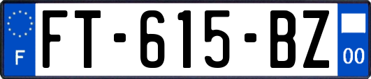 FT-615-BZ