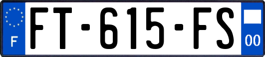 FT-615-FS