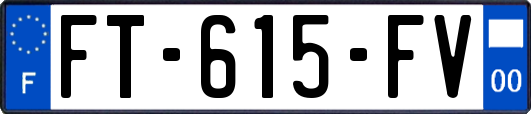 FT-615-FV