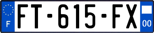 FT-615-FX
