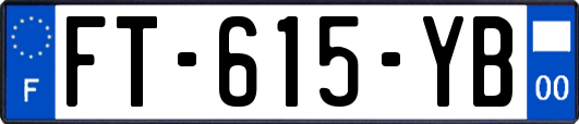 FT-615-YB