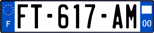 FT-617-AM