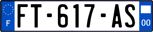 FT-617-AS