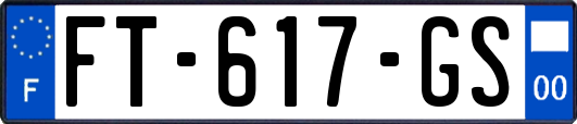 FT-617-GS