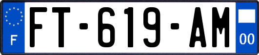 FT-619-AM