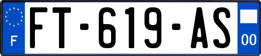 FT-619-AS