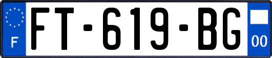 FT-619-BG