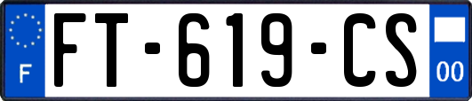 FT-619-CS