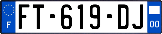 FT-619-DJ