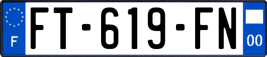 FT-619-FN