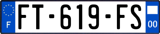 FT-619-FS