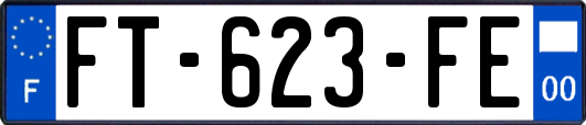 FT-623-FE